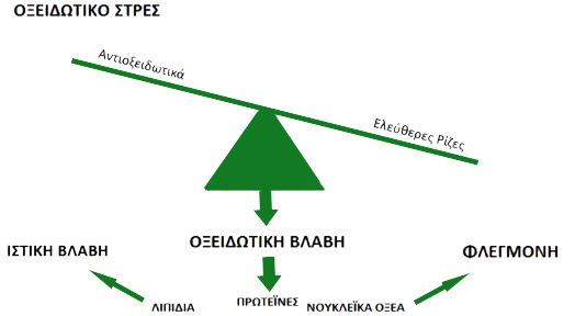 Oxidative-Stress Oxidative-Stress