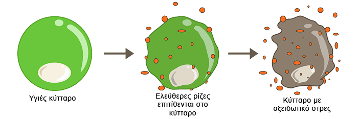 Oxidative-Stress Oxidative-Stress